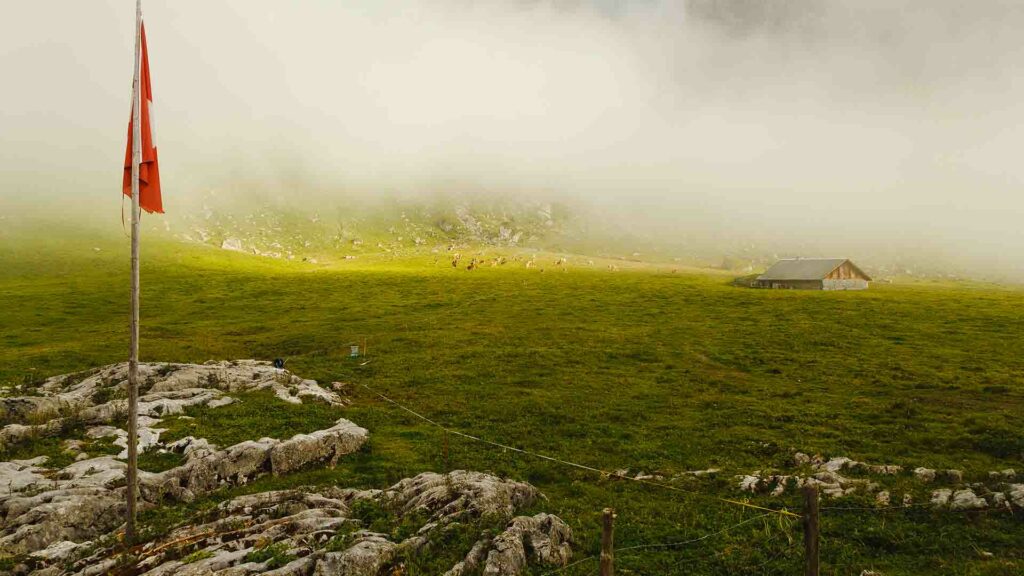 photo de paysage suisse pris par le photographe rdijoux montrant une plaine suisse verdoyant avec un drapeau Suisse
