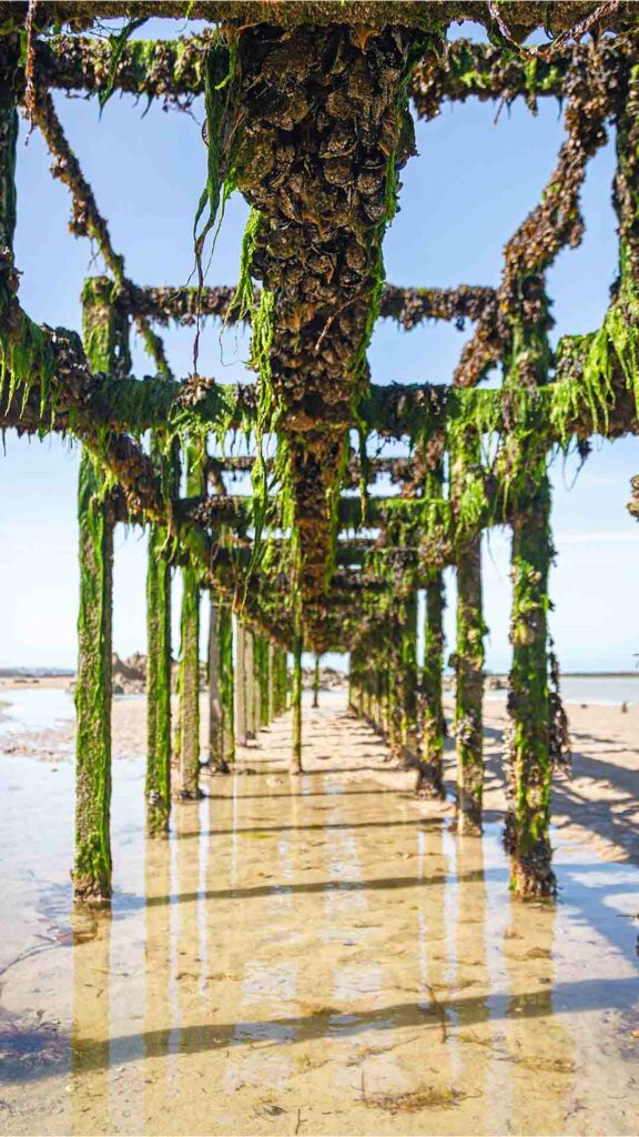 photo de paysage prit par rdijoux montrant des supports pour les moules