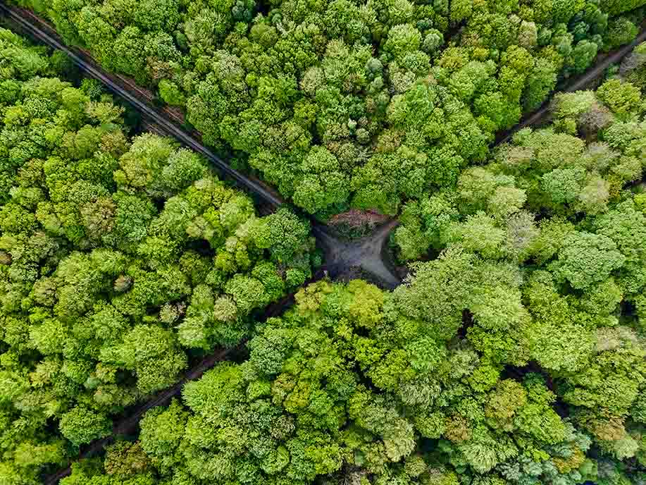 photo de paysage par drone pris par rdijoux montrant une forêt verdoyante traverser par la route